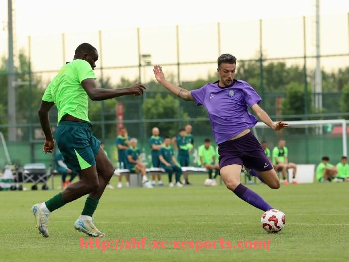 杏彩体育-法甲马赛比赛关键时刻集锦与战术解读