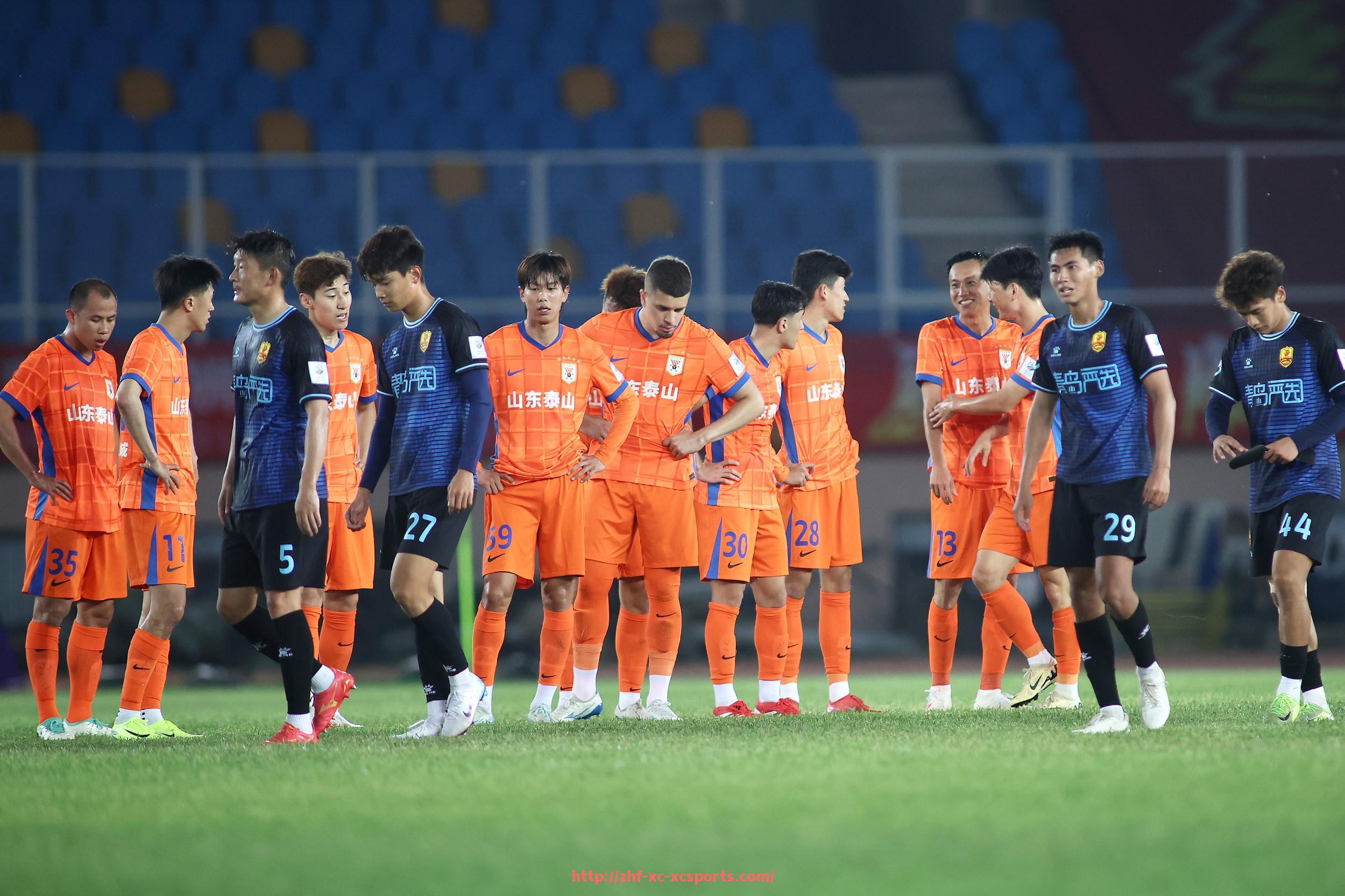 杏彩体育-法甲国际化进程及外援引进策略研究