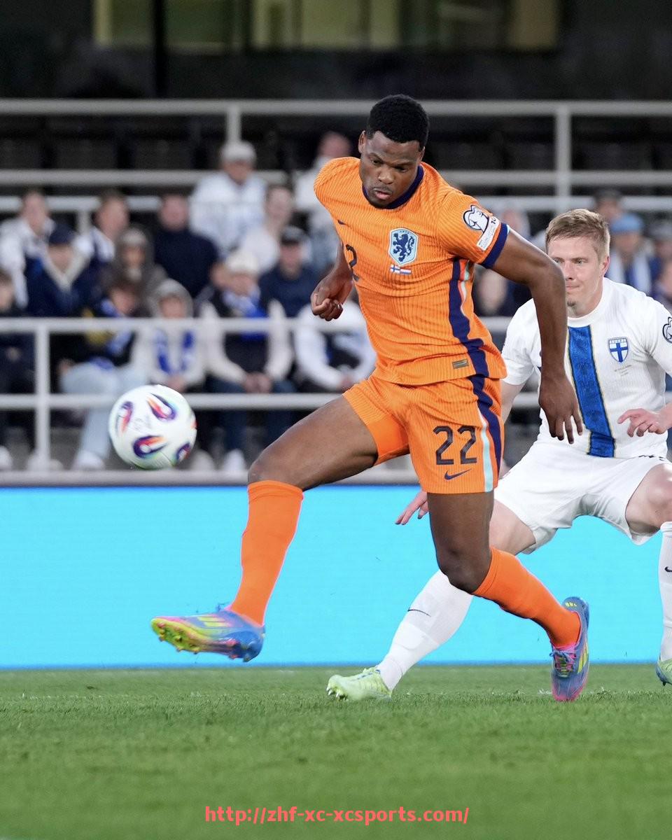 杏彩体育-法甲俱乐部股东布局及资本结构分析