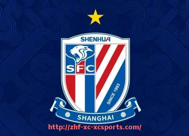 杏彩体育-意甲球队身价更新时间及市场变化分析