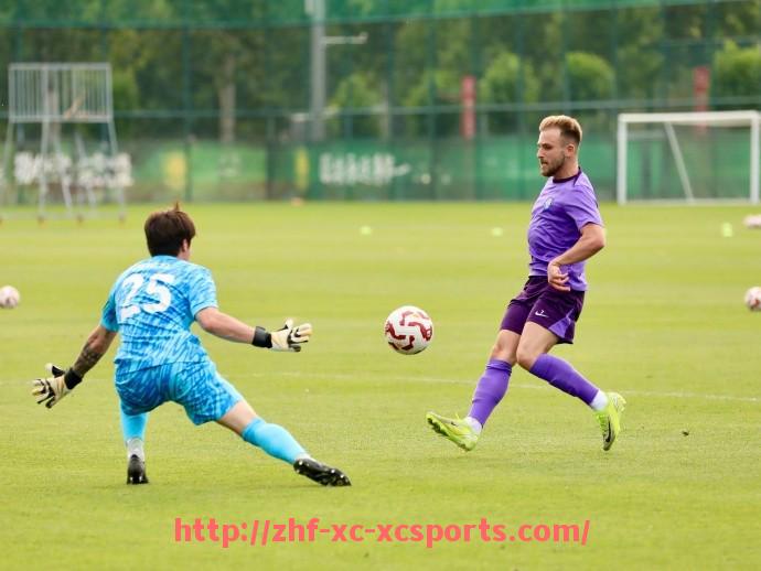 杏彩体育-高薪球员如何推动德甲格局变革与球队投资回报的深度分析