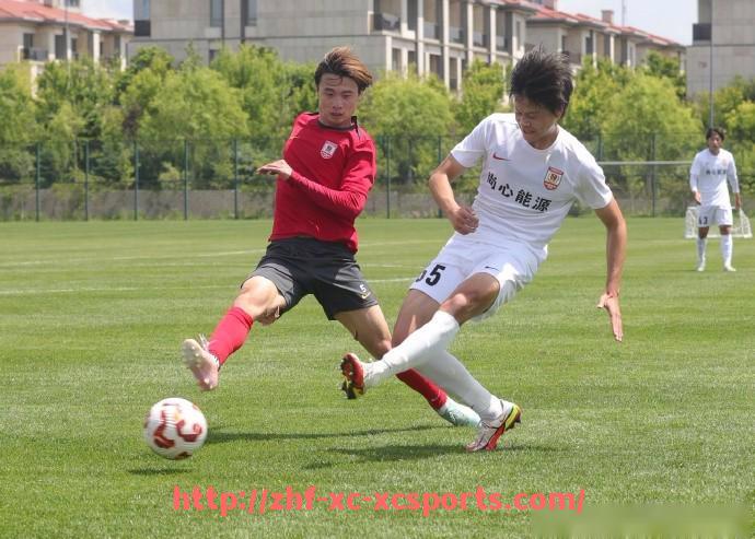 杏彩体育-德甲目前所有参赛球队名称与地理位置一览